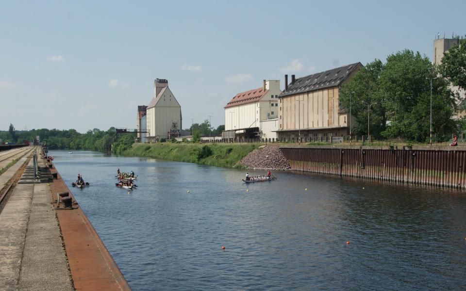 Drachenbootrennen Wettkampf Saale Hafen Trotha aus Halle (Saale) 4