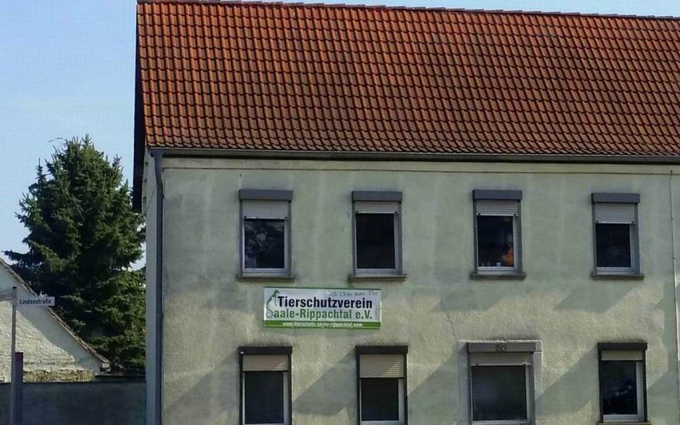 Tierschutzverein Saale-Rippachtal e.V., Altmarkt aus Hohenmölsen