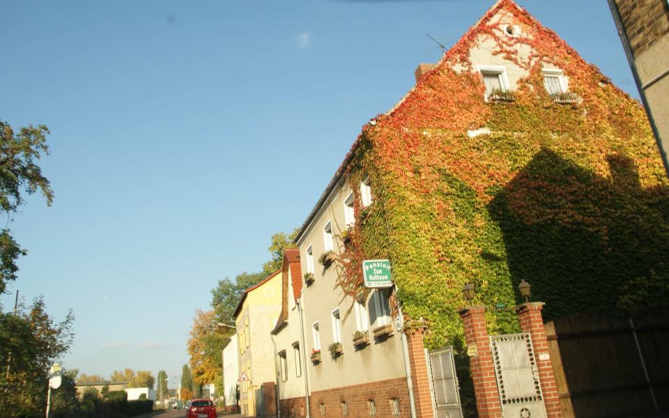 Steinberg Pension Zum Nußbaum aus Halle (Saale) 2