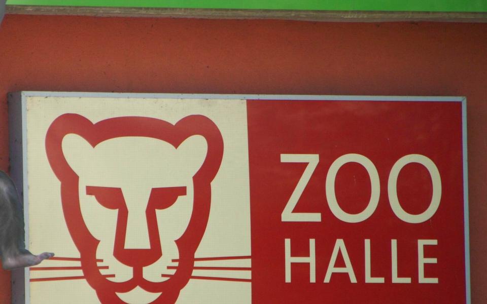 Zoo aus Halle (Saale) 5