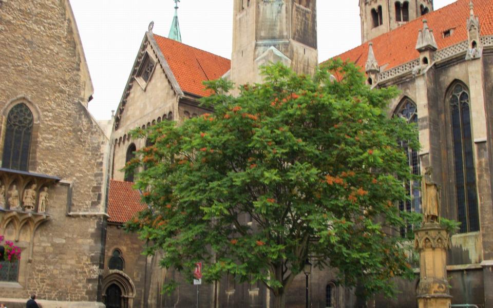 Öffentliche Führungen im Dom aus Naumburg (Saale)
