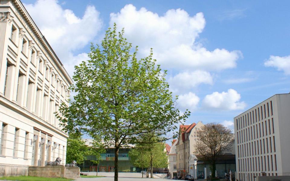 Löwengebäude - Martin-Luther-Universität aus Halle (Saale)