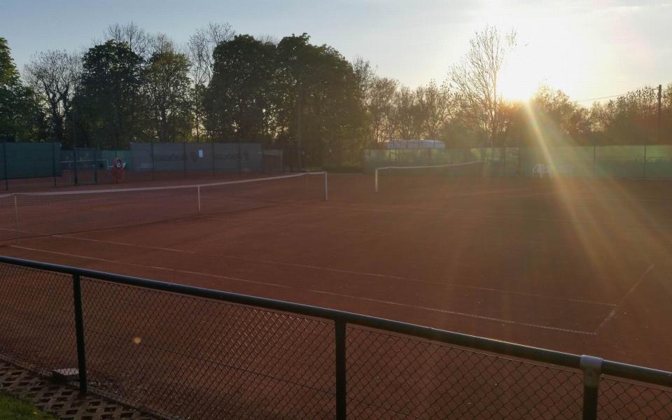 Tennisclub Halle Böllberg 53 e.V. aus Halle (Saale) 7