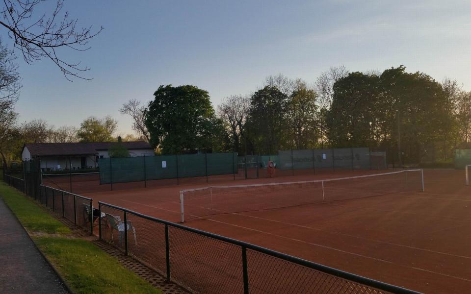 Tennisclub Halle Böllberg 53 e.V. aus Halle (Saale) 8