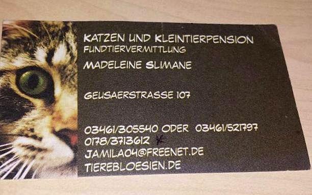 Madleen Slimane Tierpension, Geusaer Straße, Geusa aus Merseburg