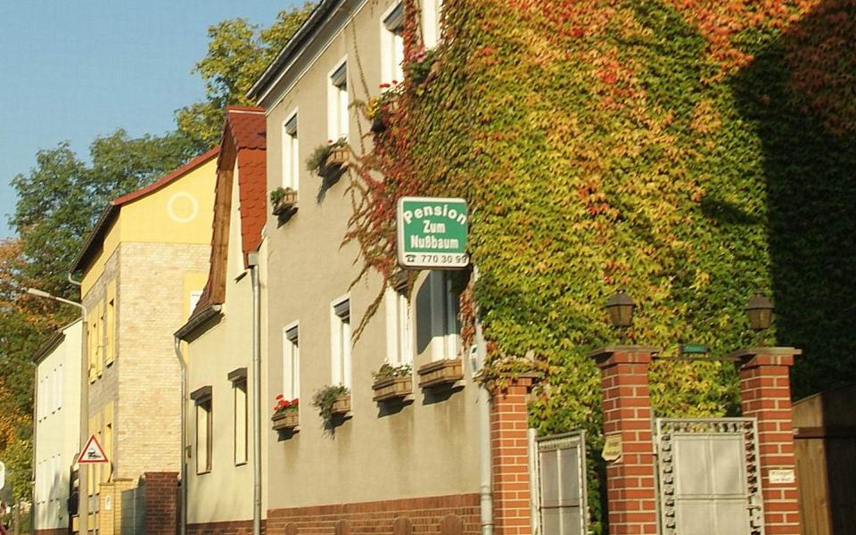 Steinberg Pension Zum Nußbaum aus Halle (Saale)