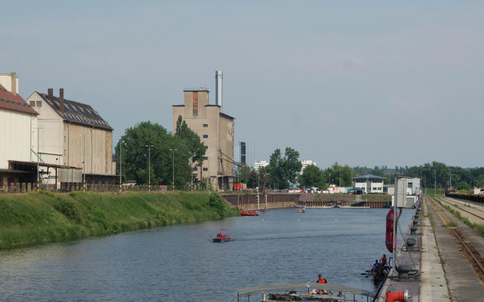 Drachenbootrennen Wettkampf Saale Hafen Trotha aus Halle (Saale) 20