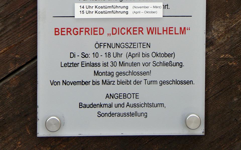 Dicker Wilhelm - Schloss Neuenburg aus Freyburg (Unstrut) 2