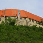 Weinschänke Burgwirtschaft Schloss Neuenburg aus Freyburg (Unstrut)
