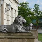 Löwengebäude - Martin-Luther-Universität aus Halle (Saale) 3