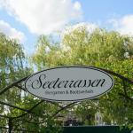 Seeterrassen Restaurant und Café Seeburg aus Seegebiet Mansfelder Land 4