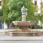Eselsbrunnen auf dem Alten Markt aus Halle (Saale)